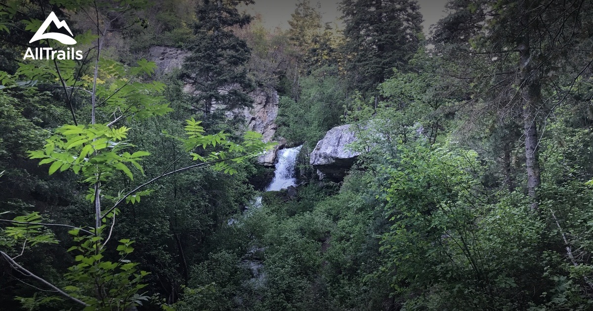 10 Best trails and hikes in Centerville AllTrails