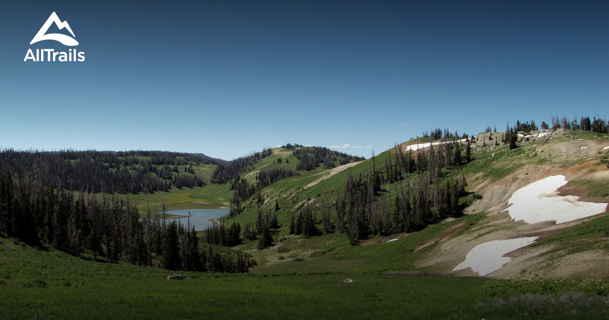 Best views trails in Fairview AllTrails