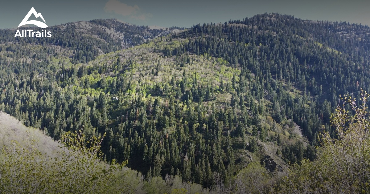 Best Trails near Kaysville, Utah