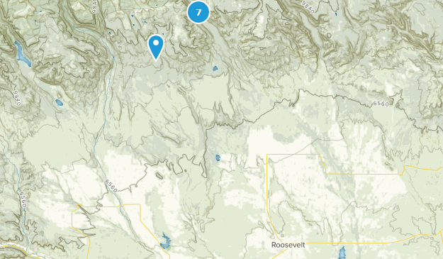 Roosevelt, Utah Map