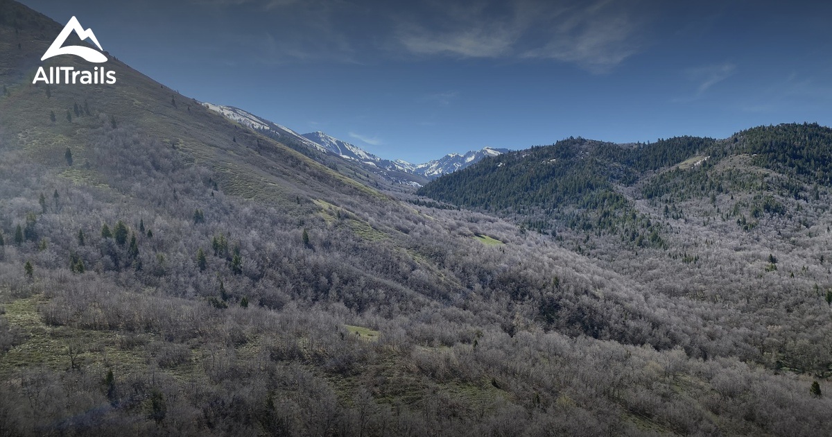 Best hikes and trails in Stockton AllTrails