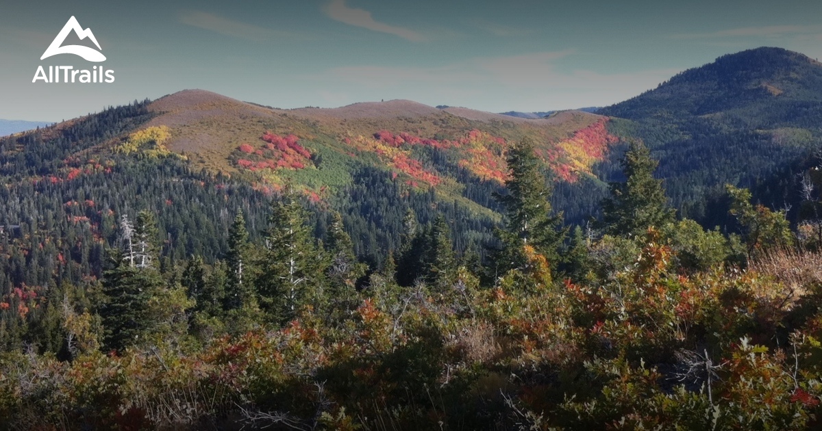 Best Trails near Summit Park, Utah AllTrails