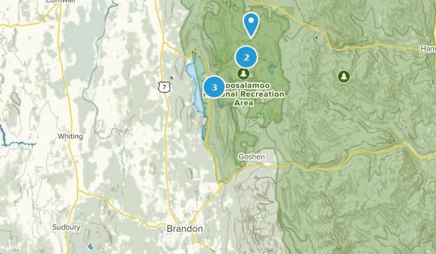 Brandon, Vermont Map