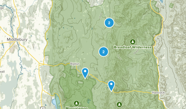 Ripton, Vermont Map