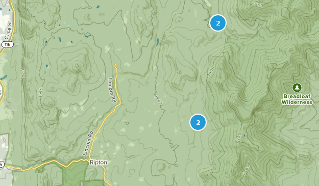 Ripton, Vermont Map