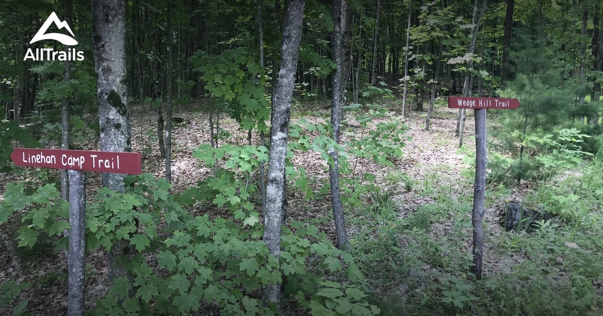 2023 Best Wild Flowers Trails in South Strafford AllTrails