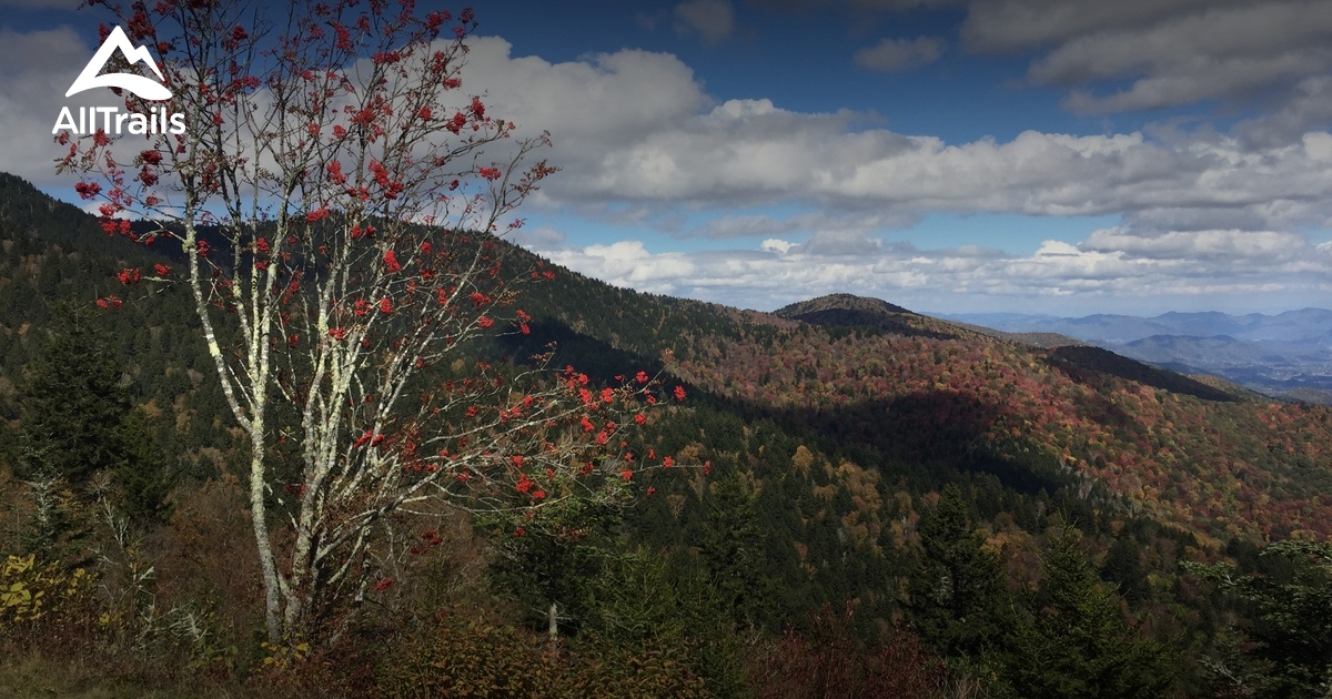 Best Trails near Afton, Virginia AllTrails