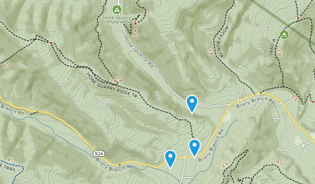 Briery Branch, Virginia Map