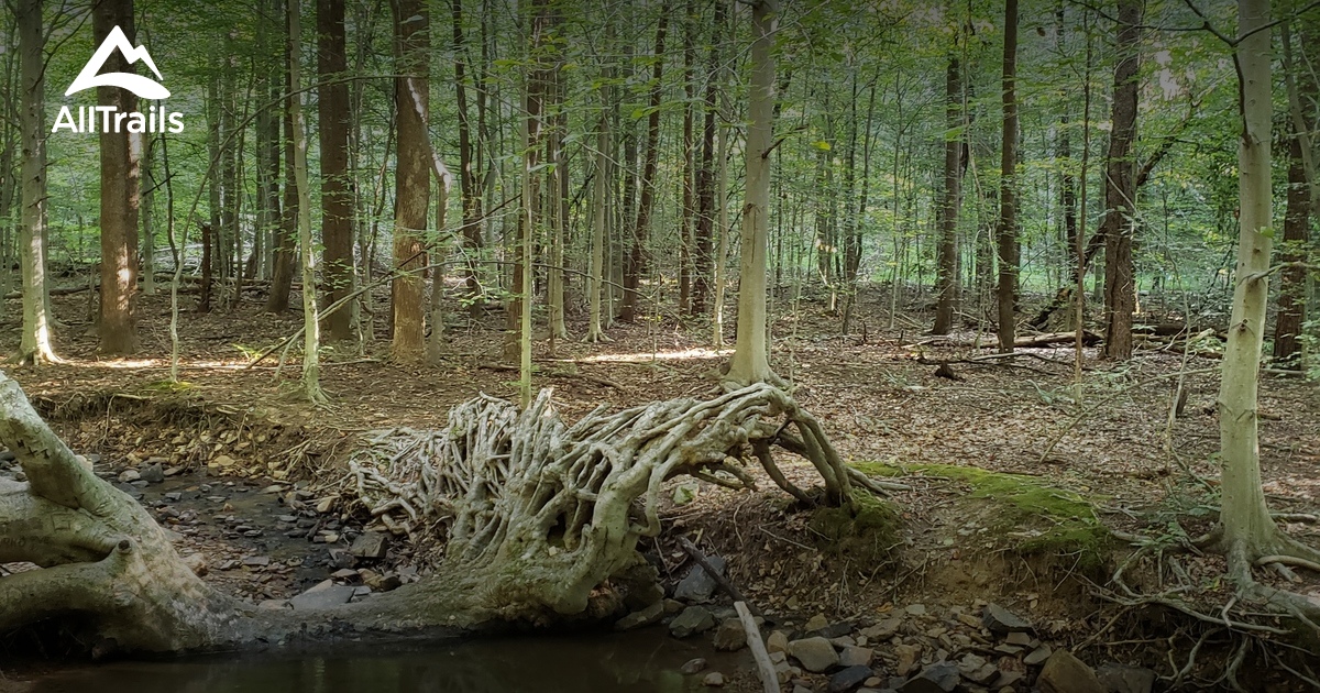 Best hikes and trails in Broad Run AllTrails