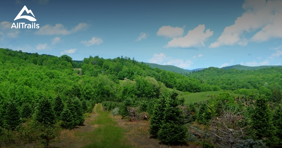 Best Trails near Damascus, Virginia AllTrails