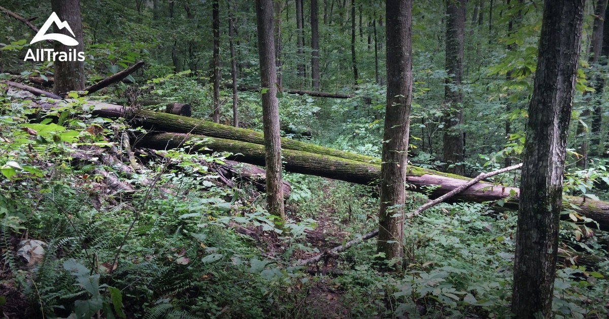 Best Hikes and Trails in Dryden AllTrails