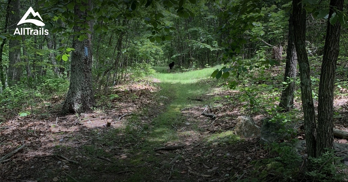 Best hikes and trails in Gore AllTrails