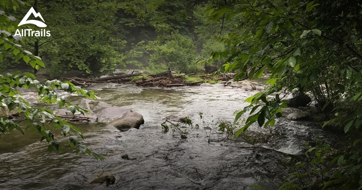 Best Trails near Madison, Virginia AllTrails