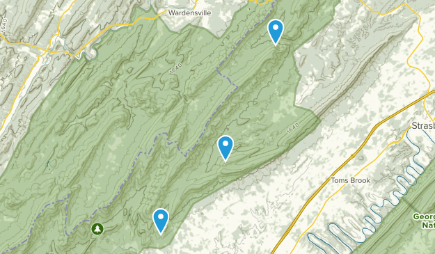 Maurertown, Virginia Map
