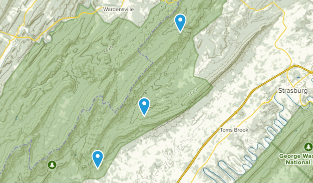 Maurertown, Virginia Map