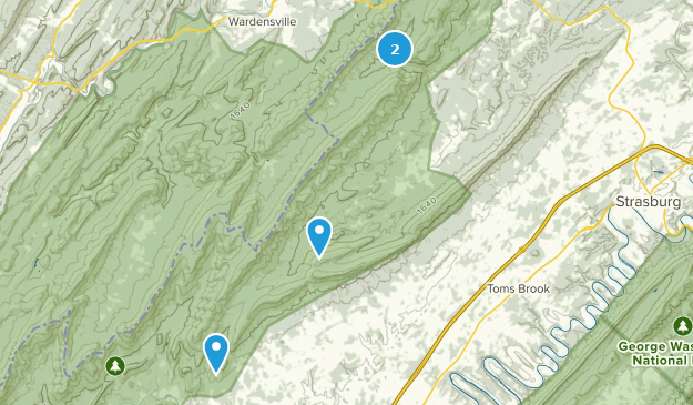 Maurertown, Virginia Map