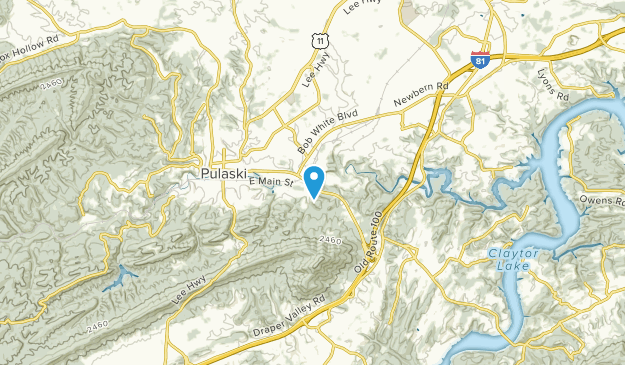 Max Meadows, Virginia Map