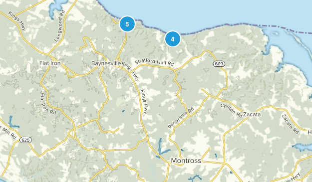 Montross, Virginia Map