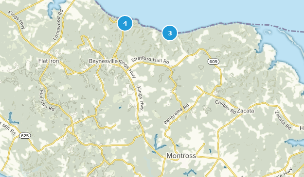 Montross, Virginia Map