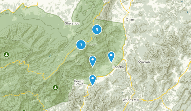 Nellysford, Virginia Map