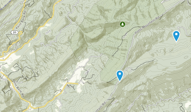 Paint Bank, Virginia Map