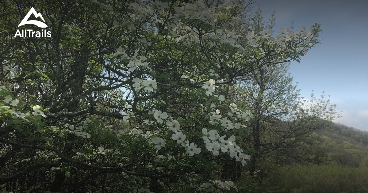 Best Trails near Roseland, Virginia AllTrails