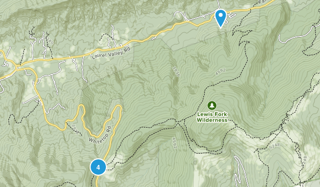 Trout Dale, Virginia Map