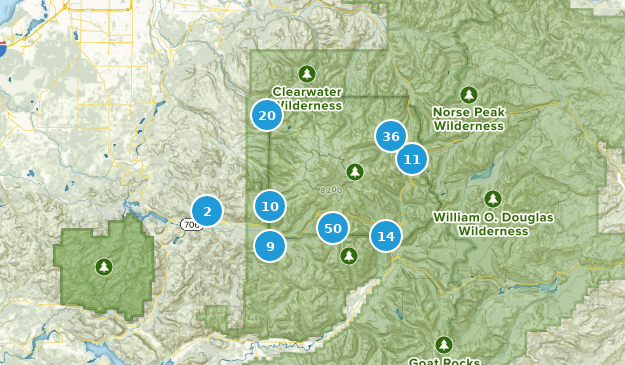 Ashford, Washington Map
