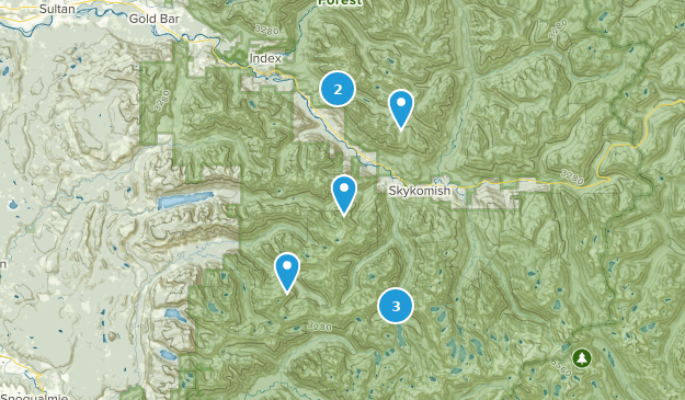 Baring, Washington Map