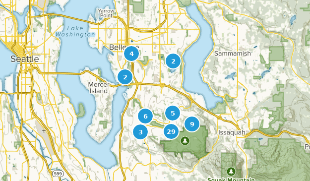 Bellevue, Washington Map
