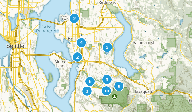 Bellevue, État de Washington Map
