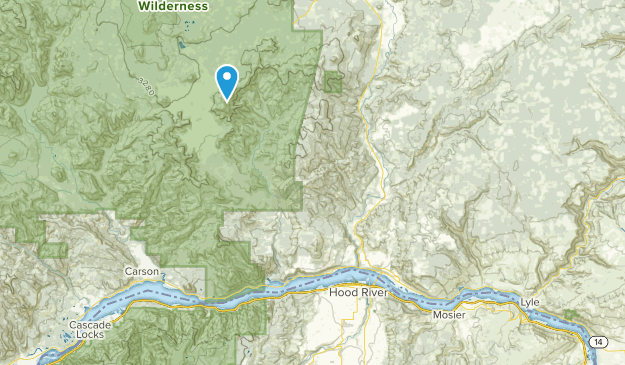 Bingen, Washington Map