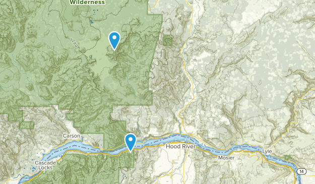 Bingen, Washington Map