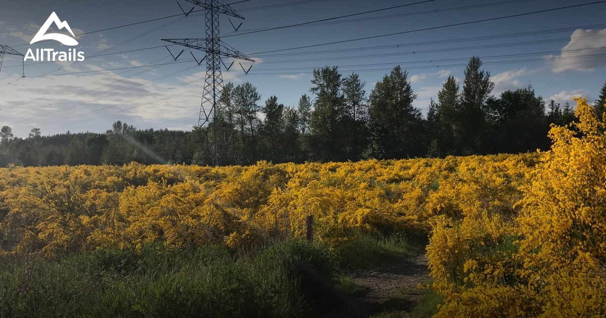 Best Trails near Black Diamond, Washington