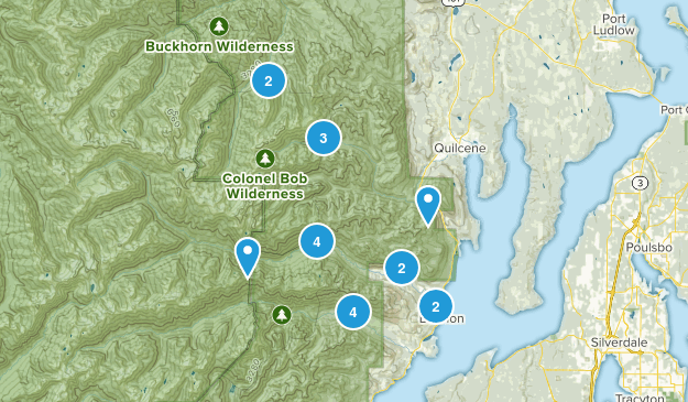 Brinnon, Washington Map
