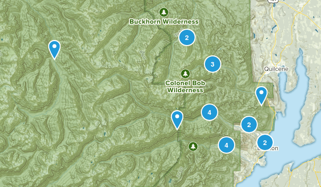 Brinnon, Washington Map