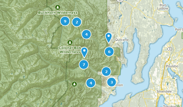 Brinnon, Washington Map