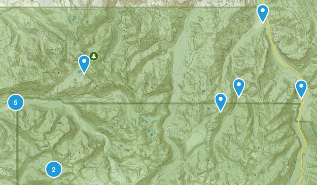 Buckley, Washington Map