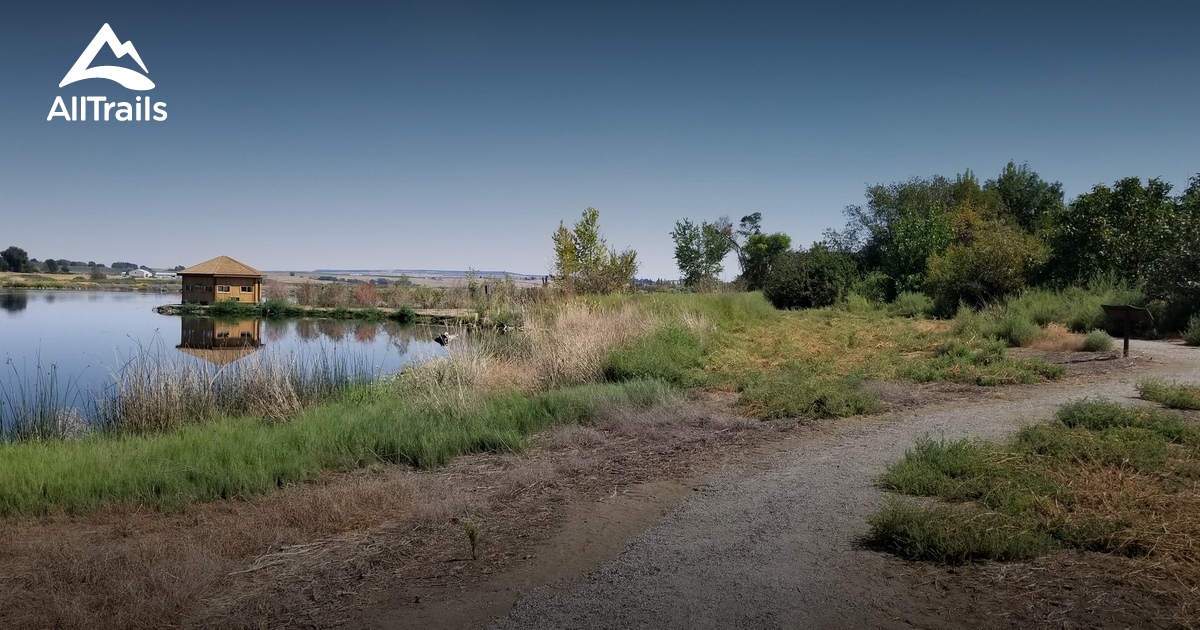 Best hikes and trails in Burbank AllTrails