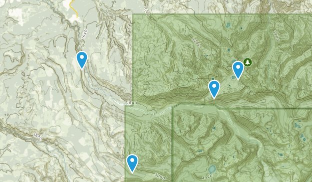 Carbonado, Washington Map