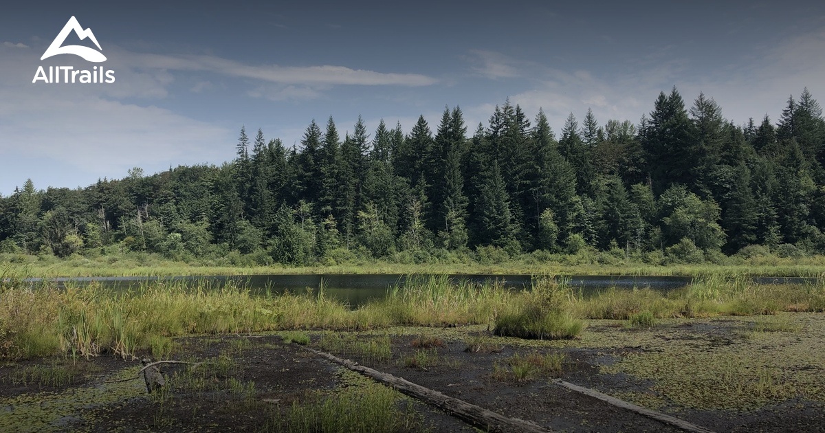 10 Best trails and hikes in Carnation AllTrails