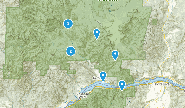 Carson, Washington Map