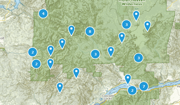 Carson, Washington Map