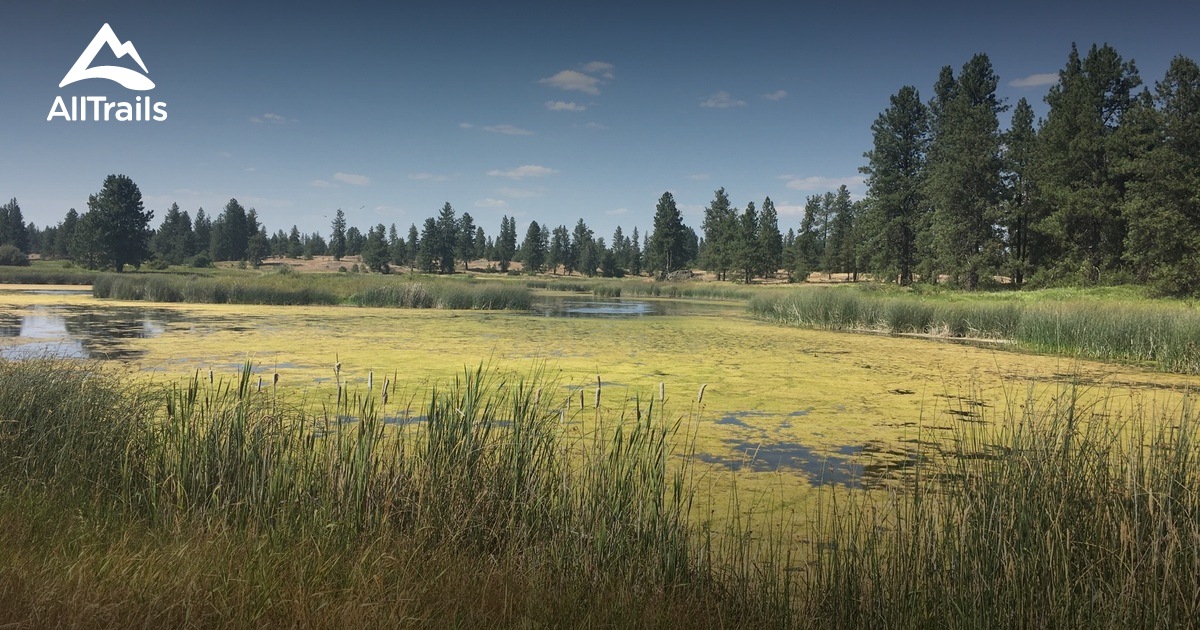 Best Trails near Cheney, Washington AllTrails