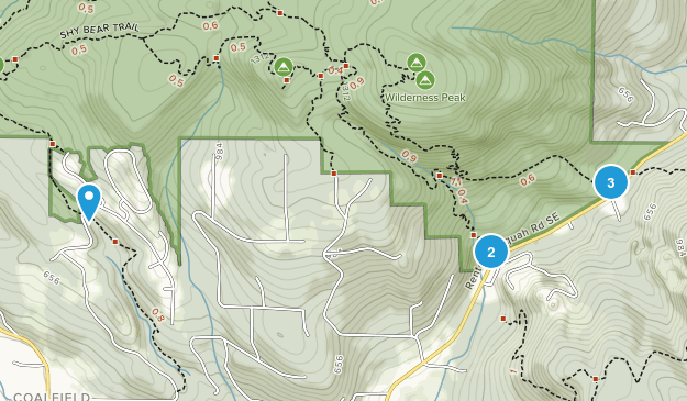Coalfield, Washington Map