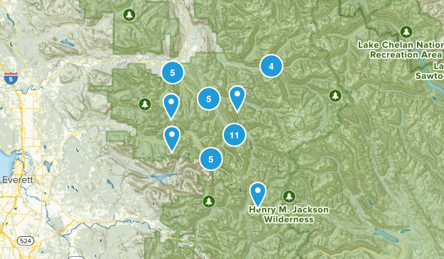 Darrington, Washington Map