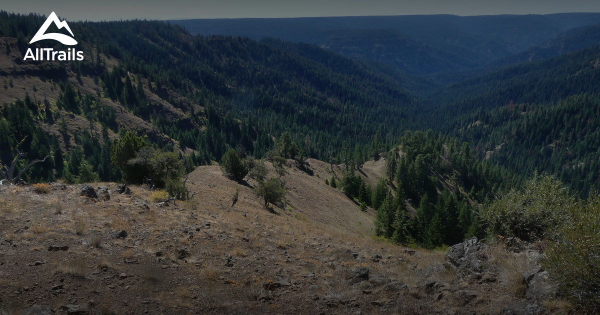 Best Trails Near Dixie, Washington 