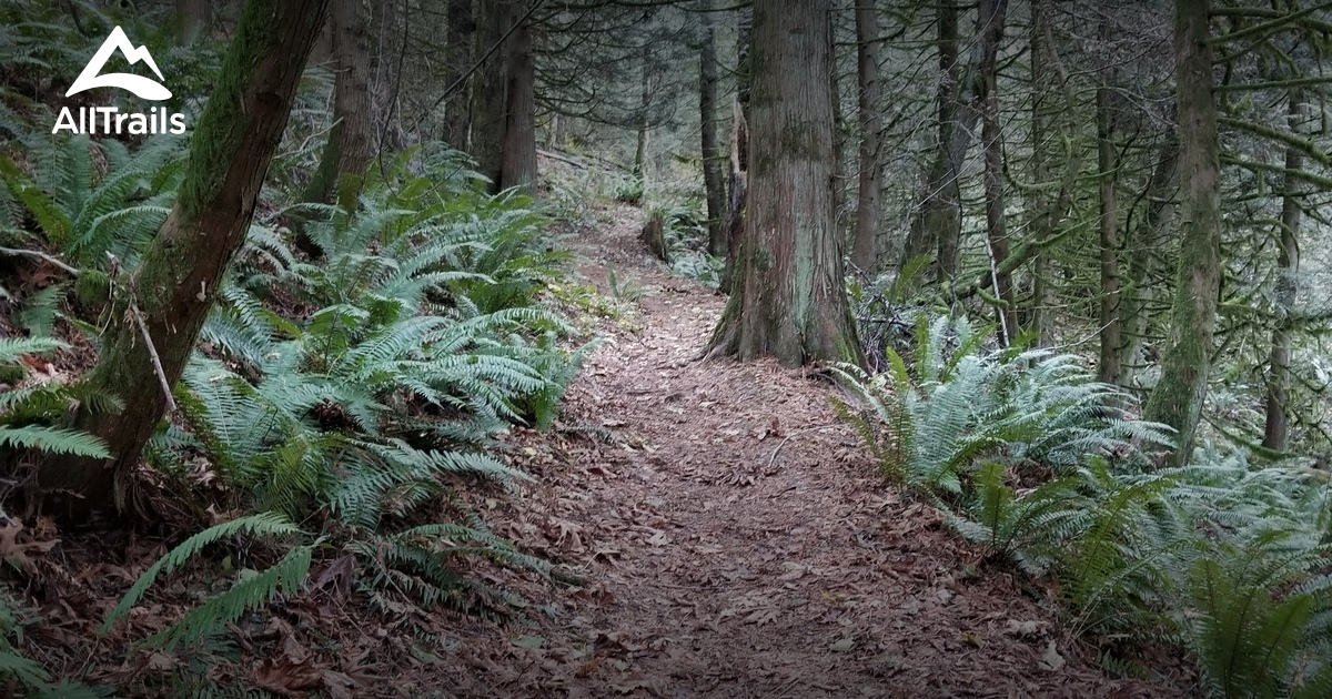 2023 Best Forest Trails in Everson | AllTrails