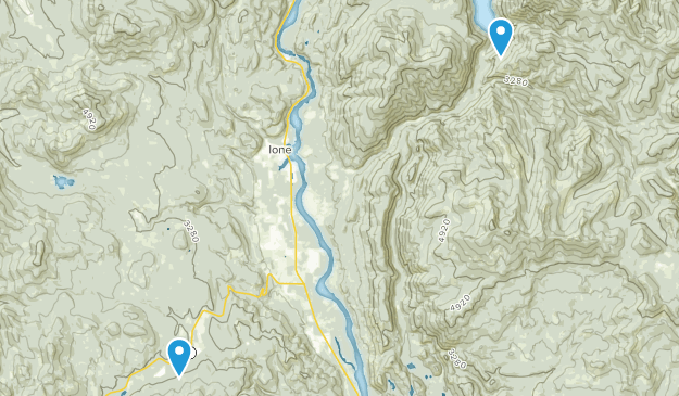 Ione, Washington Map