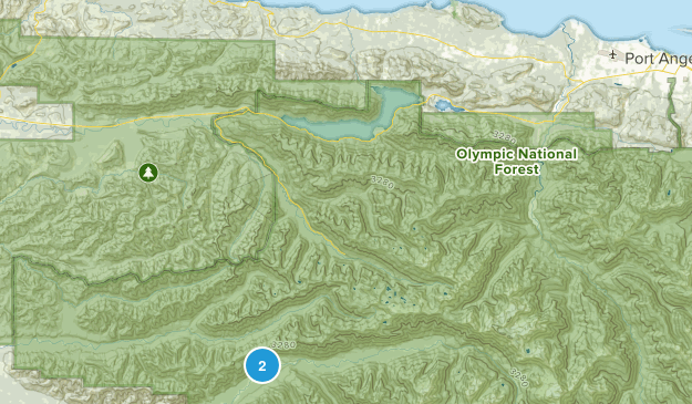 Joyce, Washington Map